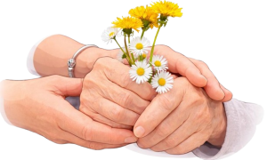 ChatGPT_Image_21_janv._2026__12_13_08-removebg-preview (1)